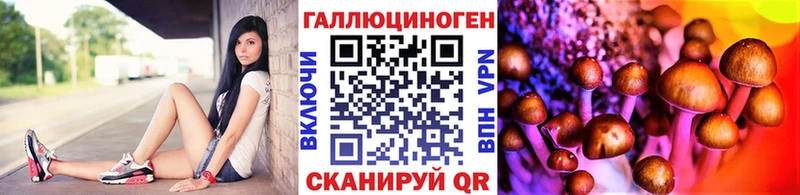 Псилоцибиновые грибы мухоморы  Енисейск 